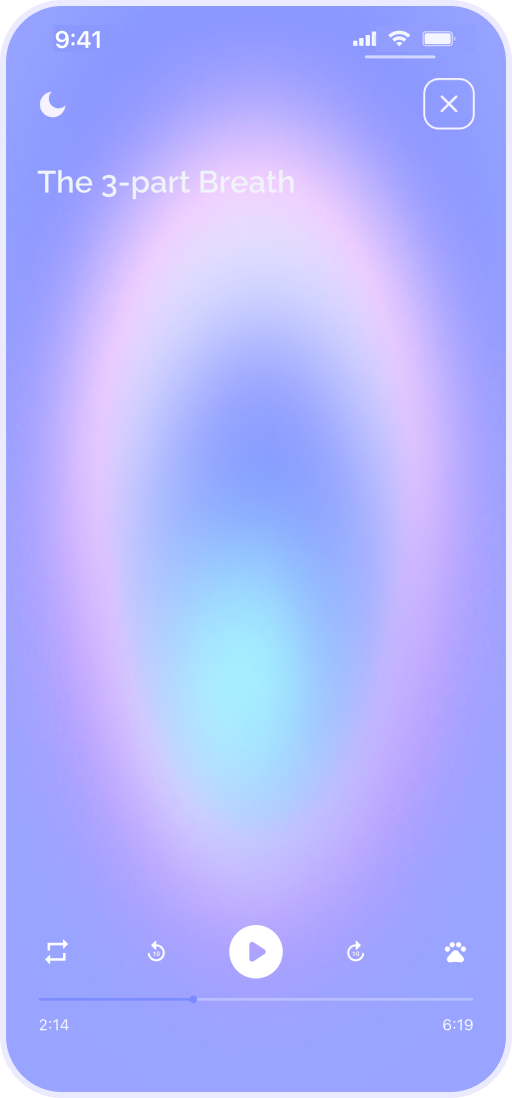 screen